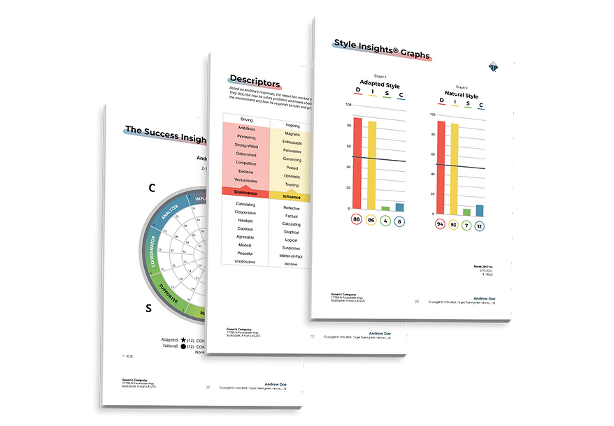 Sample pages from a DISC communication assessment report