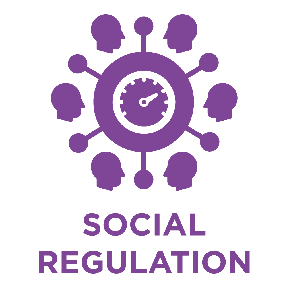 Social Regulation