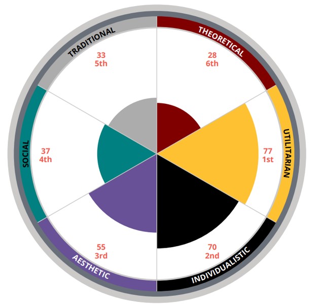 Motivators wheel showing Theoretical, Utilitarian, Individualistic, Aesthetic, Social and Traditional scores